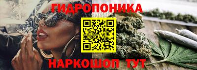 прущие грибы Можайск