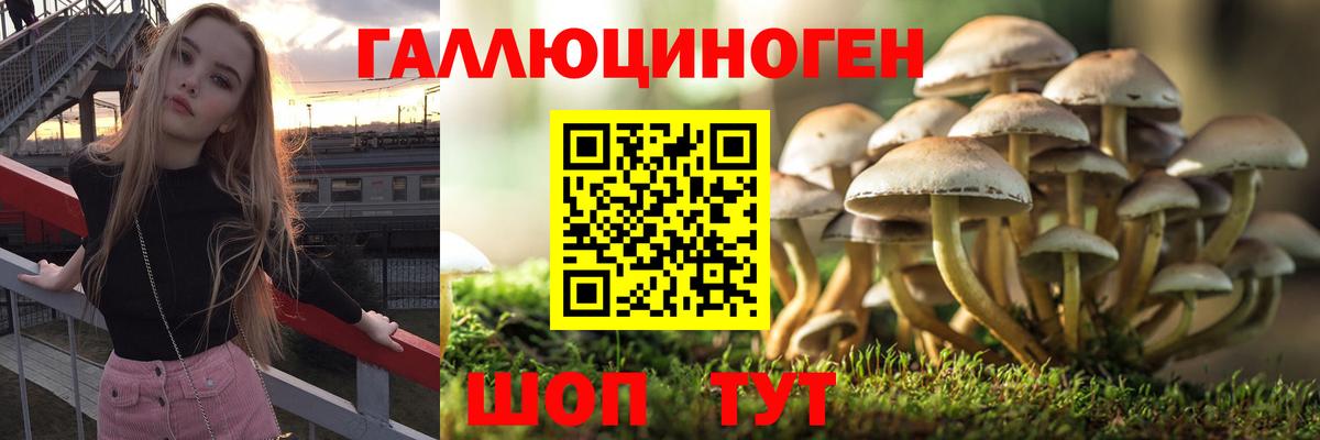 цены наркотик  Вход с VPN  Хабаровск  Галлюциногенные грибы прущие грибы 